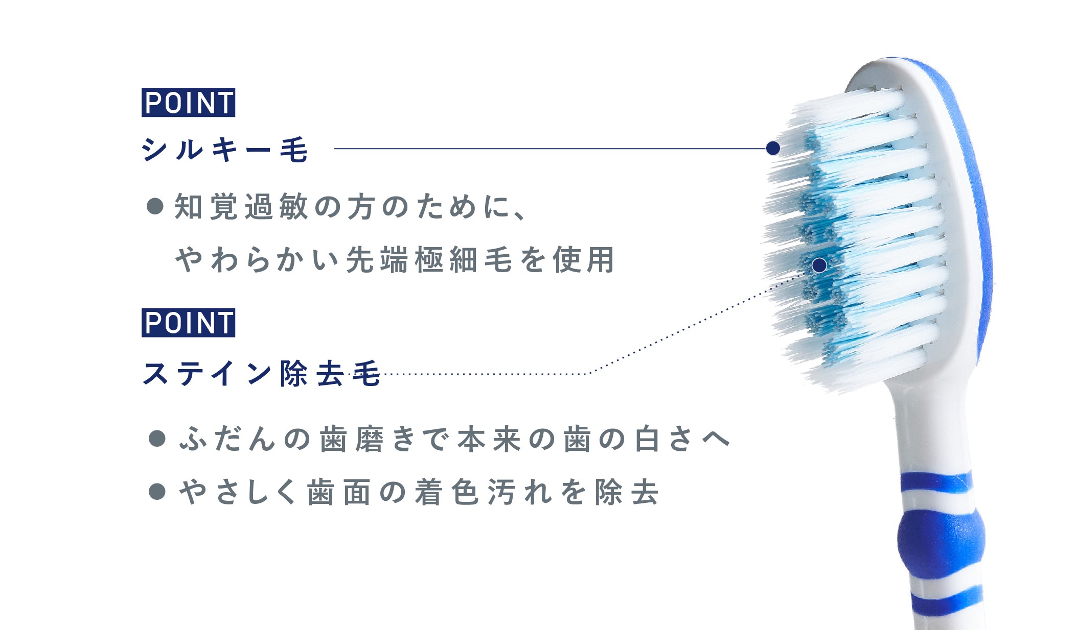 シュミテクト トゥルーホワイト ハブラシ