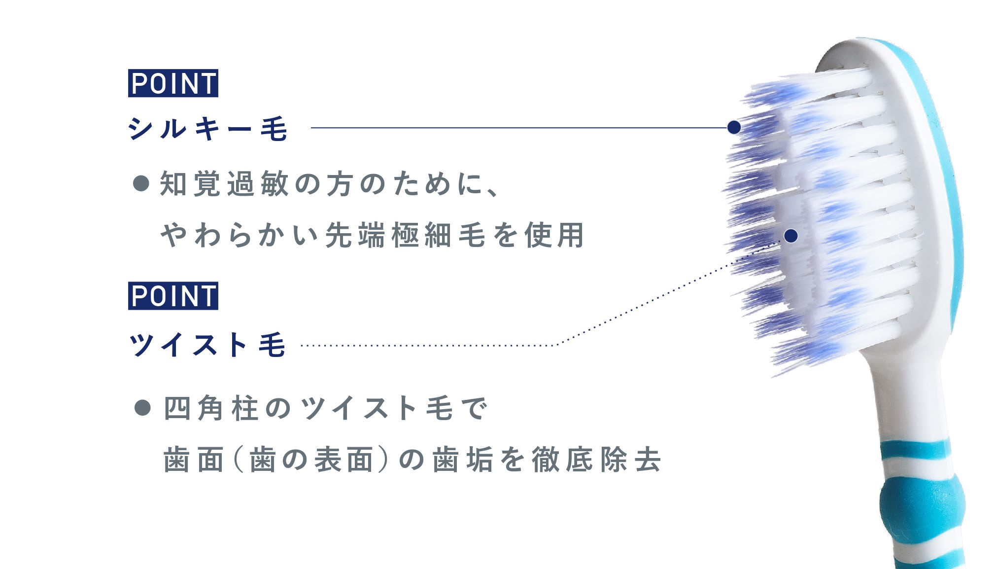 今年も話題の グラクソ スミスクライン 薬用シュミテクト 歯周病ケア シュミテクト トラベルセット fucoa.cl