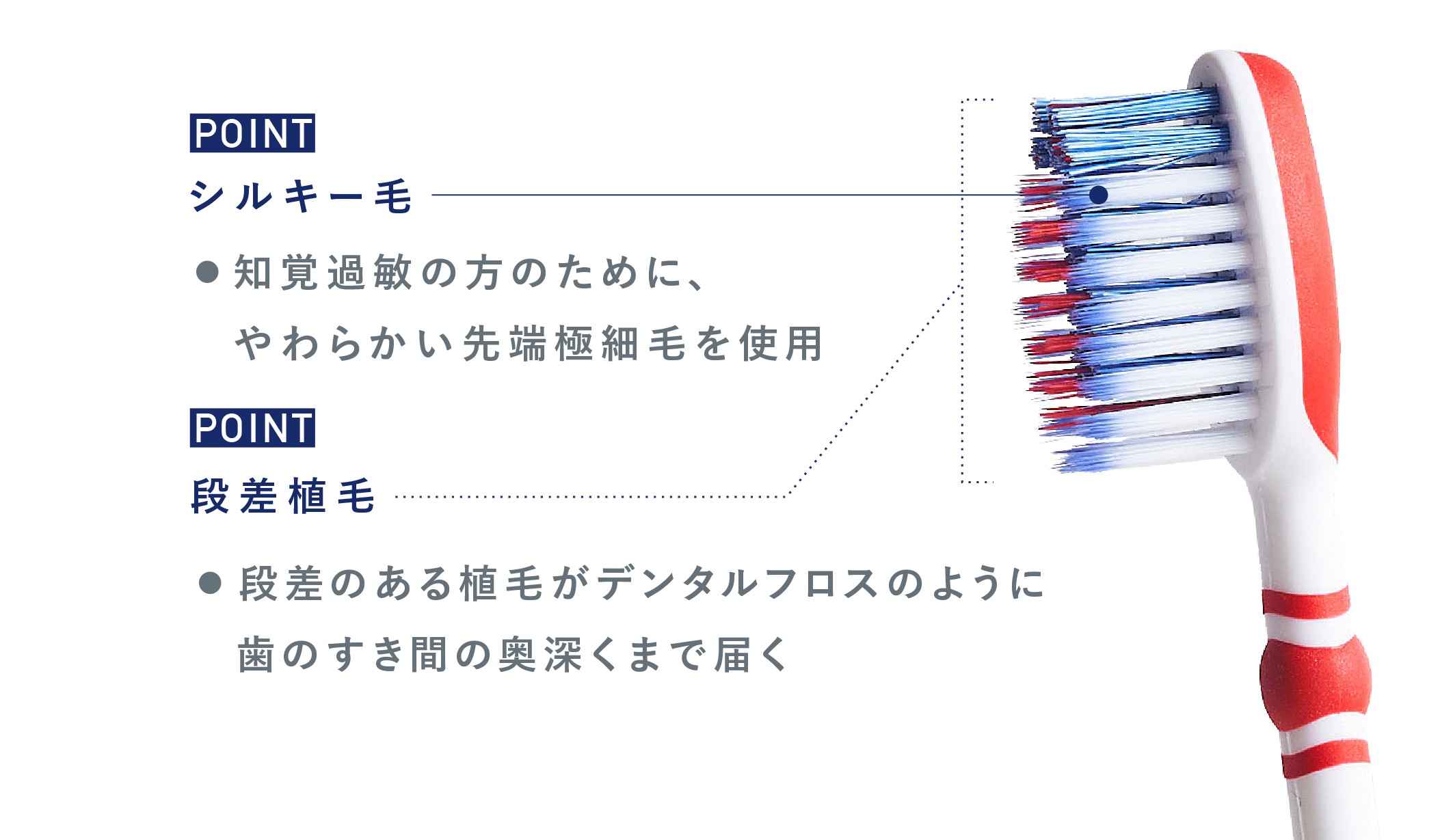 シュミテクト 知覚過敏&歯周ダブルケアEX ハブラシ
