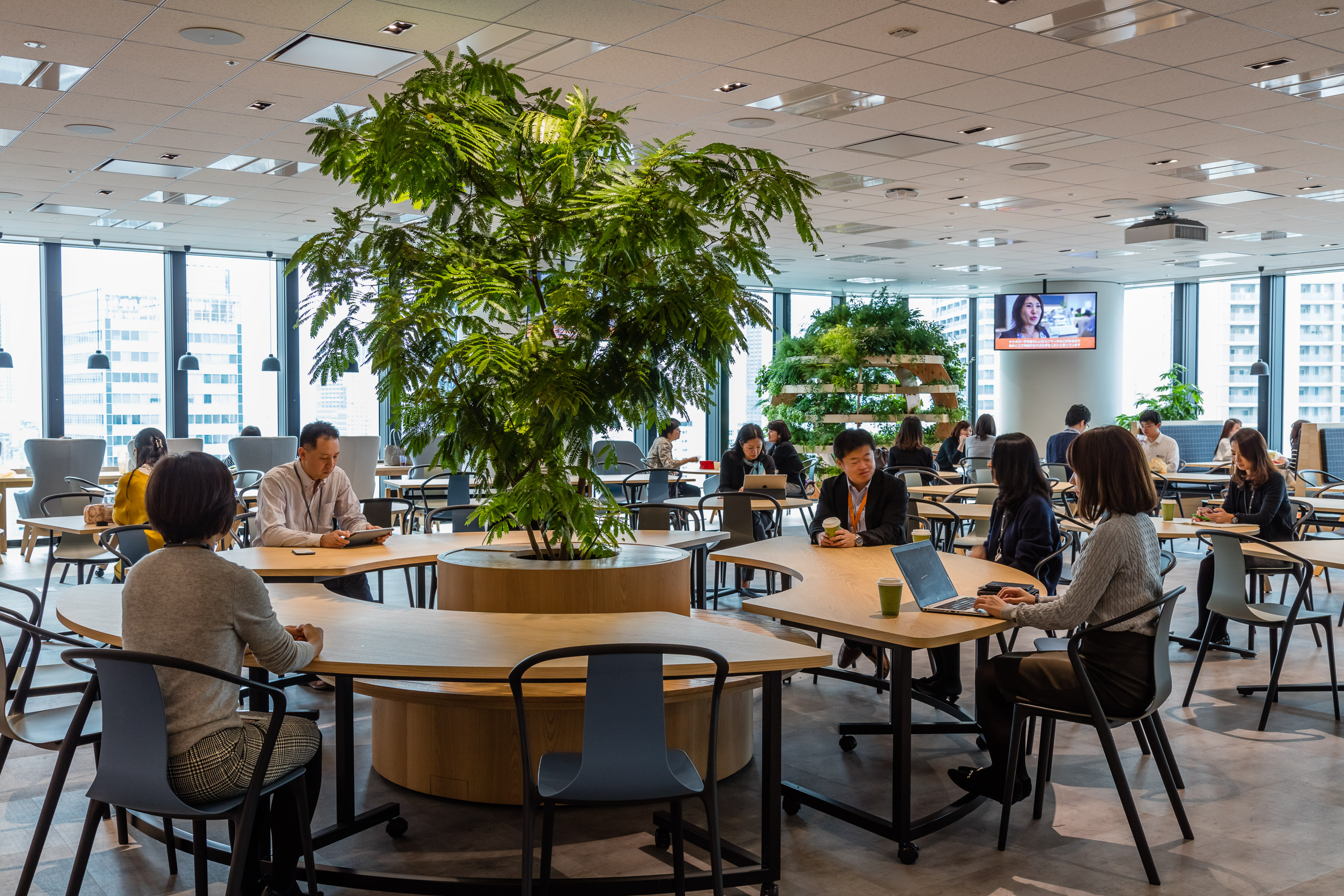 募集職種・エントリー